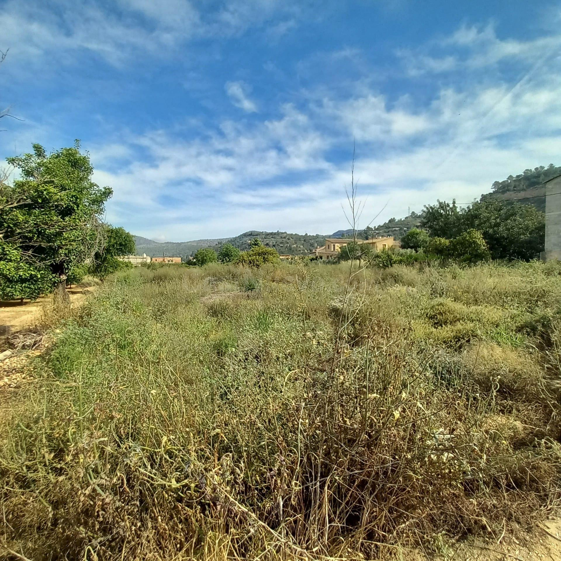 Finca rústica de 1.176 m2 con agua de riego a solo dos minut
