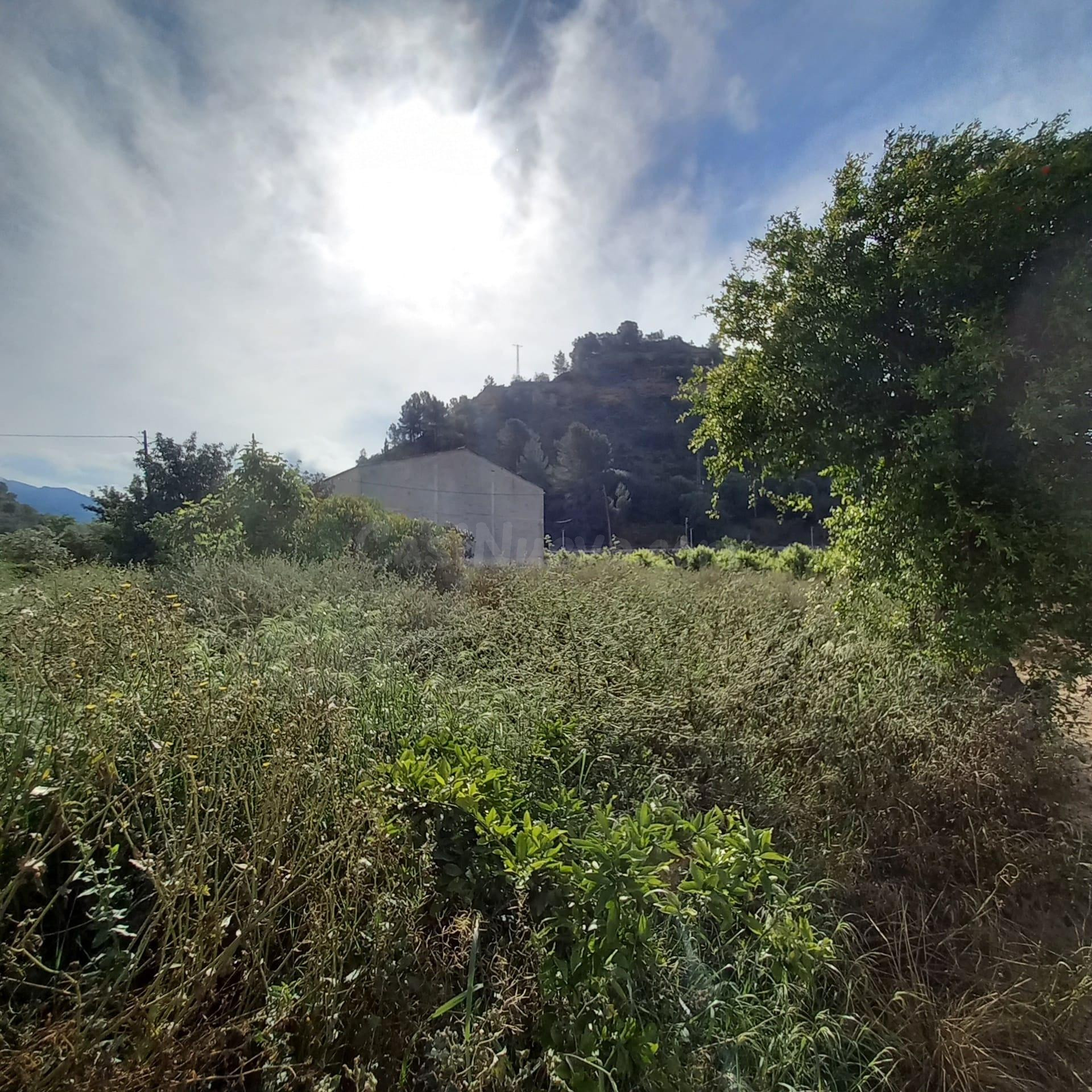 Finca rústica de 1.176 m2 con agua de riego a solo dos minut - foto 4
