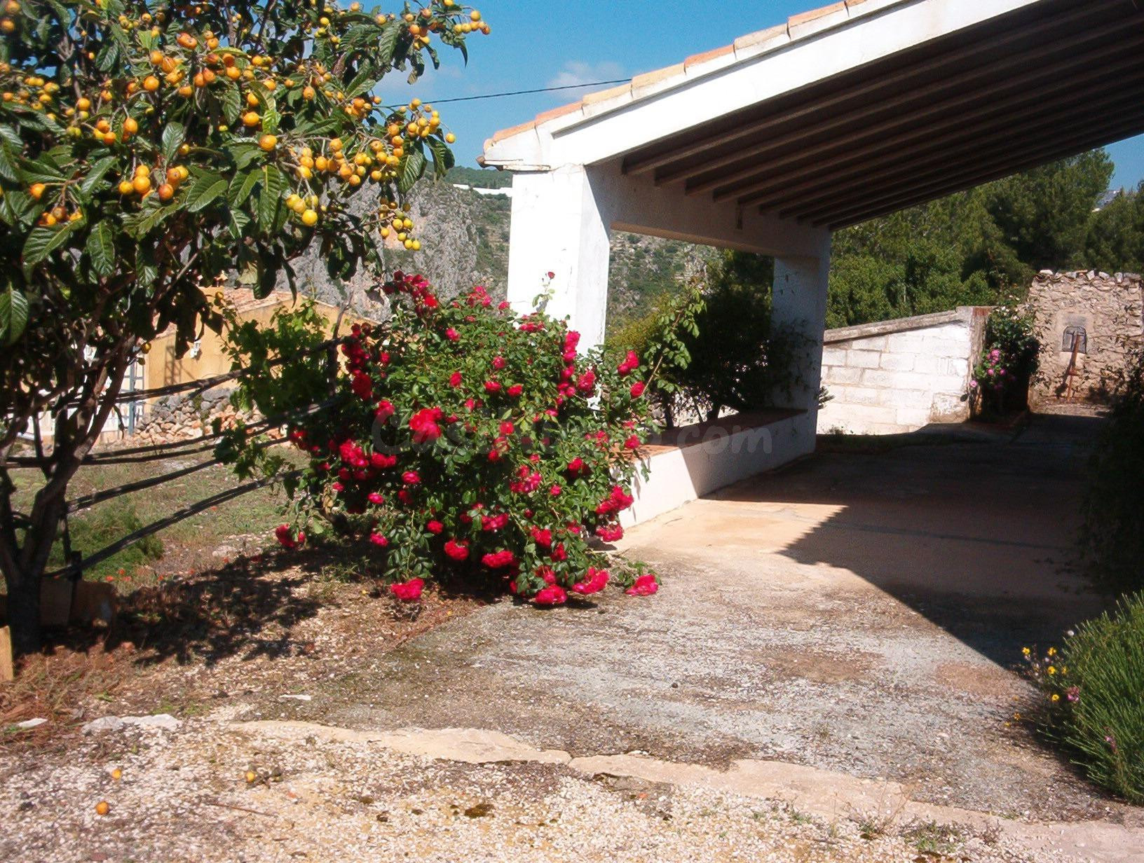 SE VENDEN DOS PARCELAS RUSTICAS CON CASA  EN TARBENA - foto 5