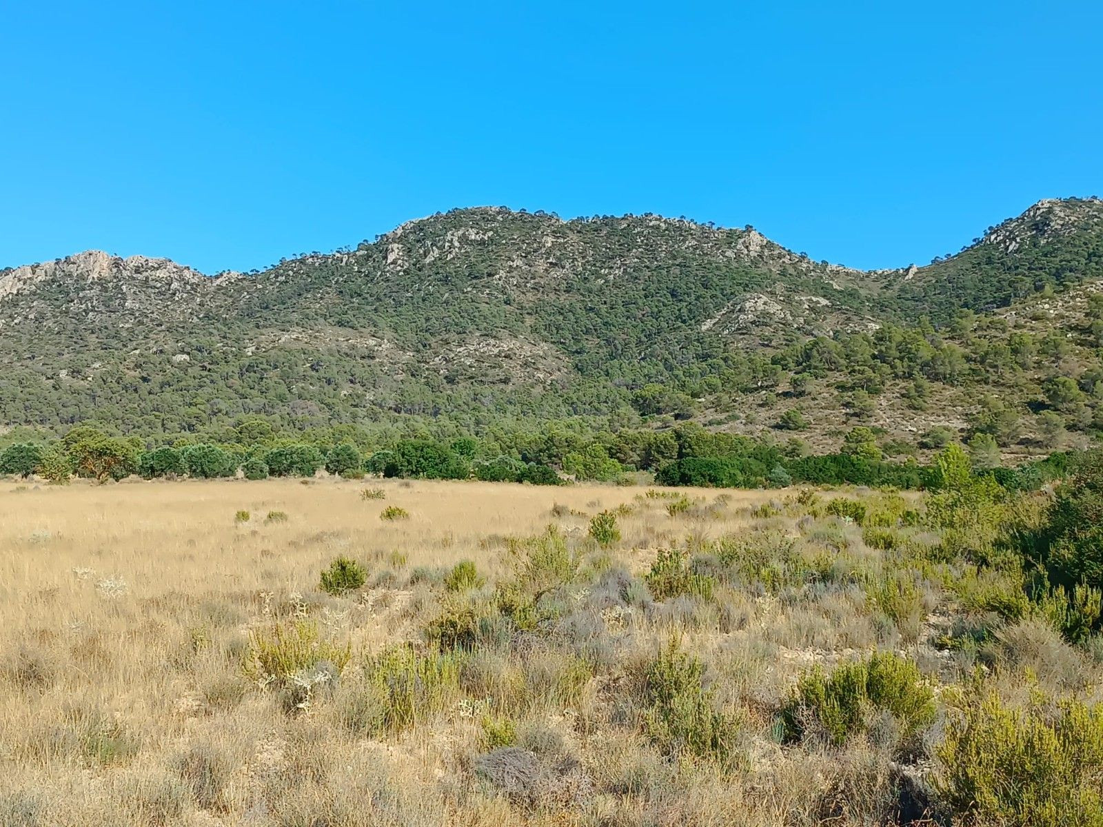 Parcela en venta - Ayuntamiento