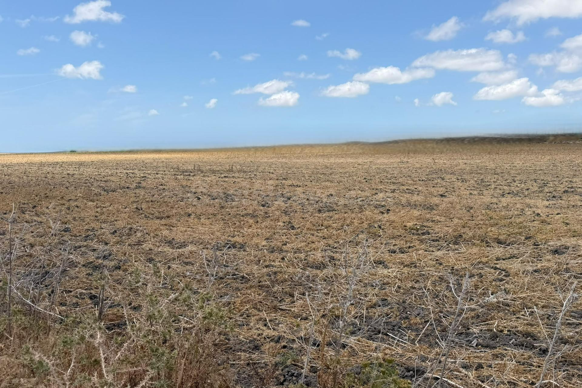 Oportunidad única: Finca rústica de 84.423 m2 en las afueras de Jerez