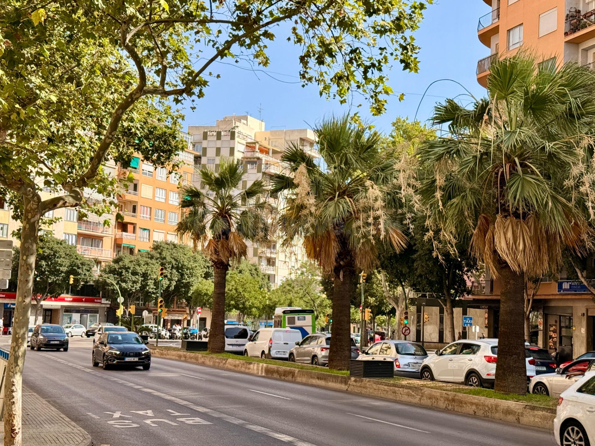 🏢 SE TRASPASA Local Comercial en excelente ubicación en las Avenidas – Centro de Palma