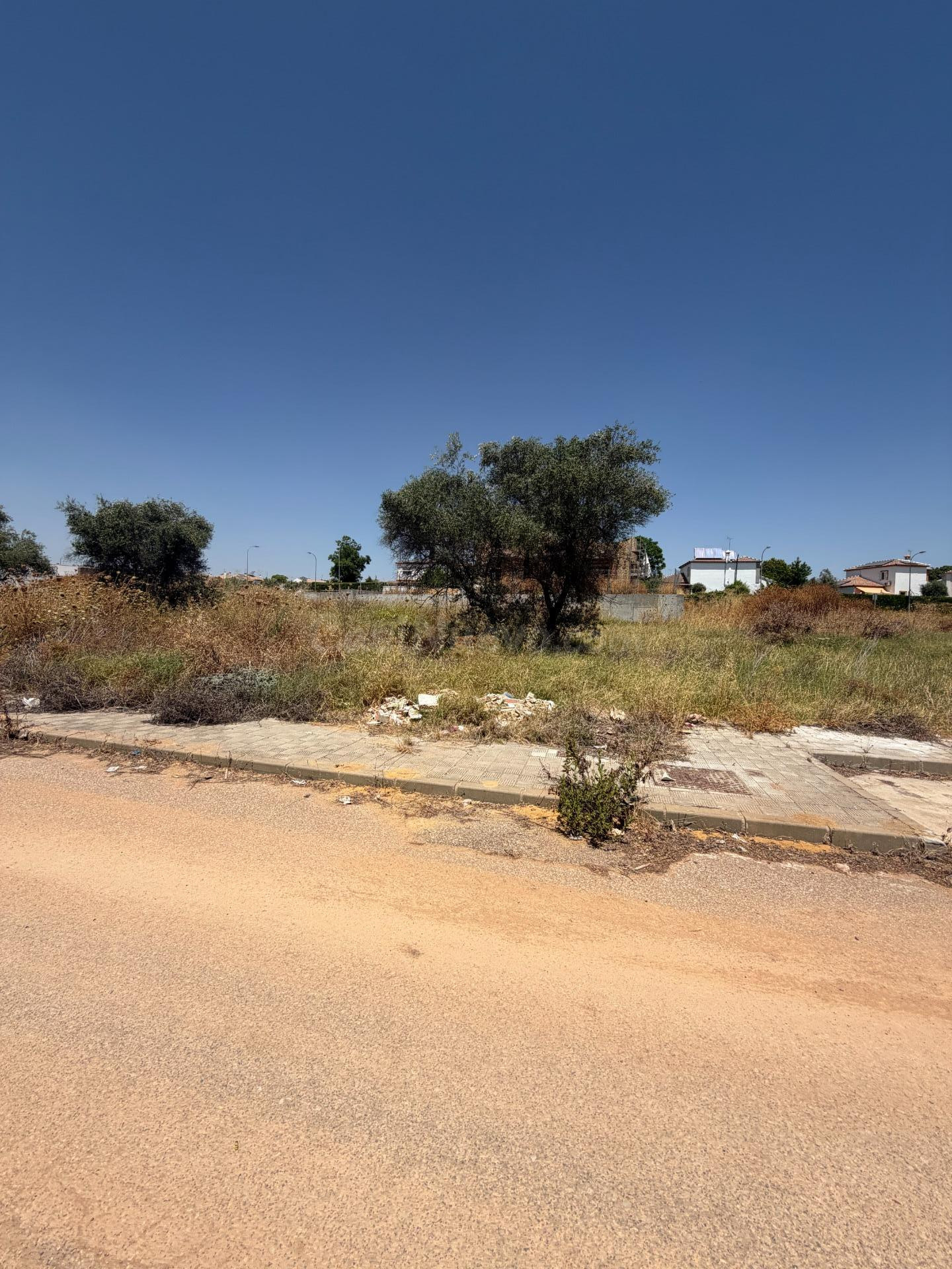 PARCELA URBANA DE 551 M2 EN ESPARTINAS – ÚLTIMA OPORTUNIDAD EN LA ZONA