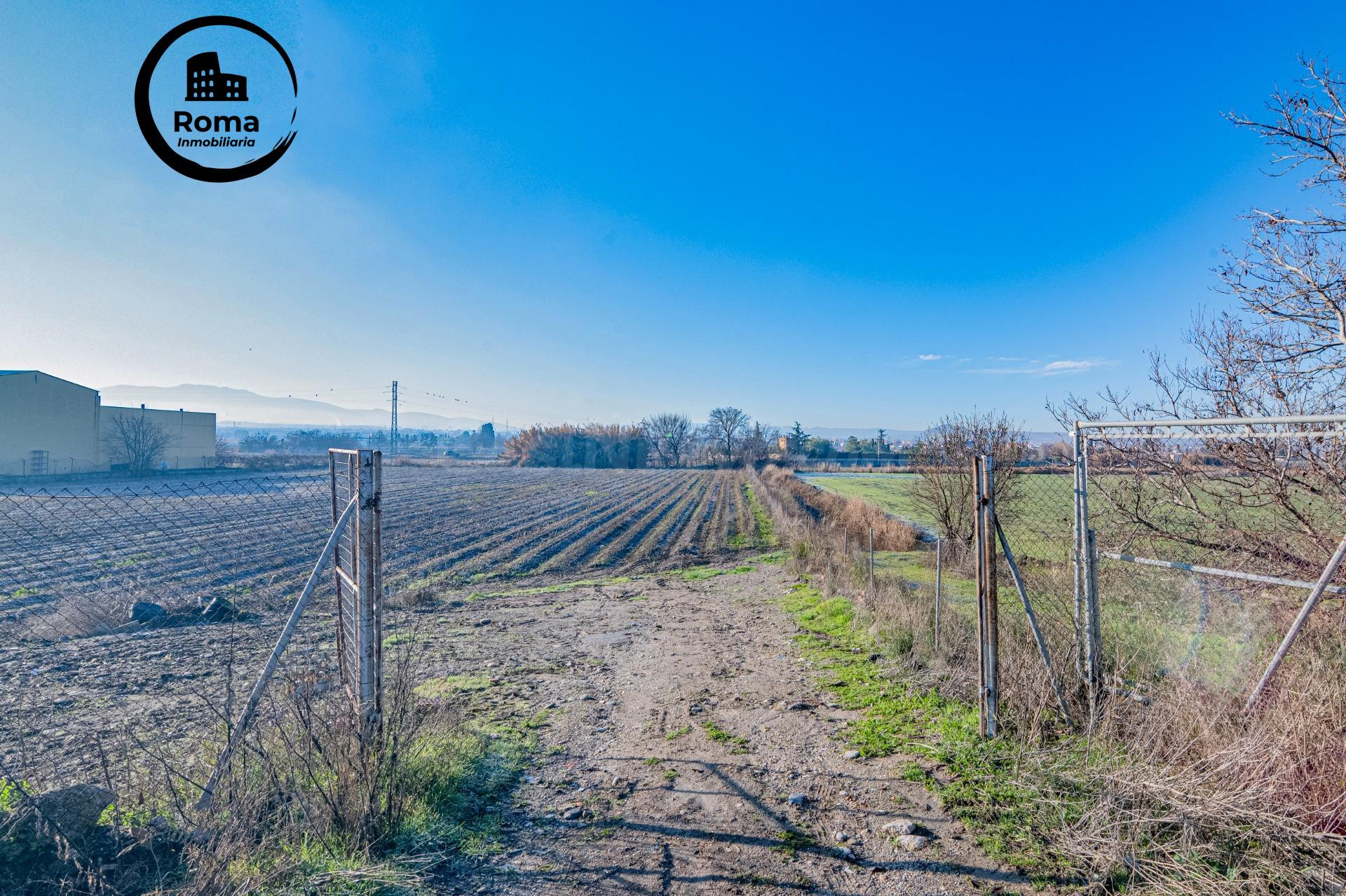 Excelente finca de regadío en la Vega de Granada, con acceso directo