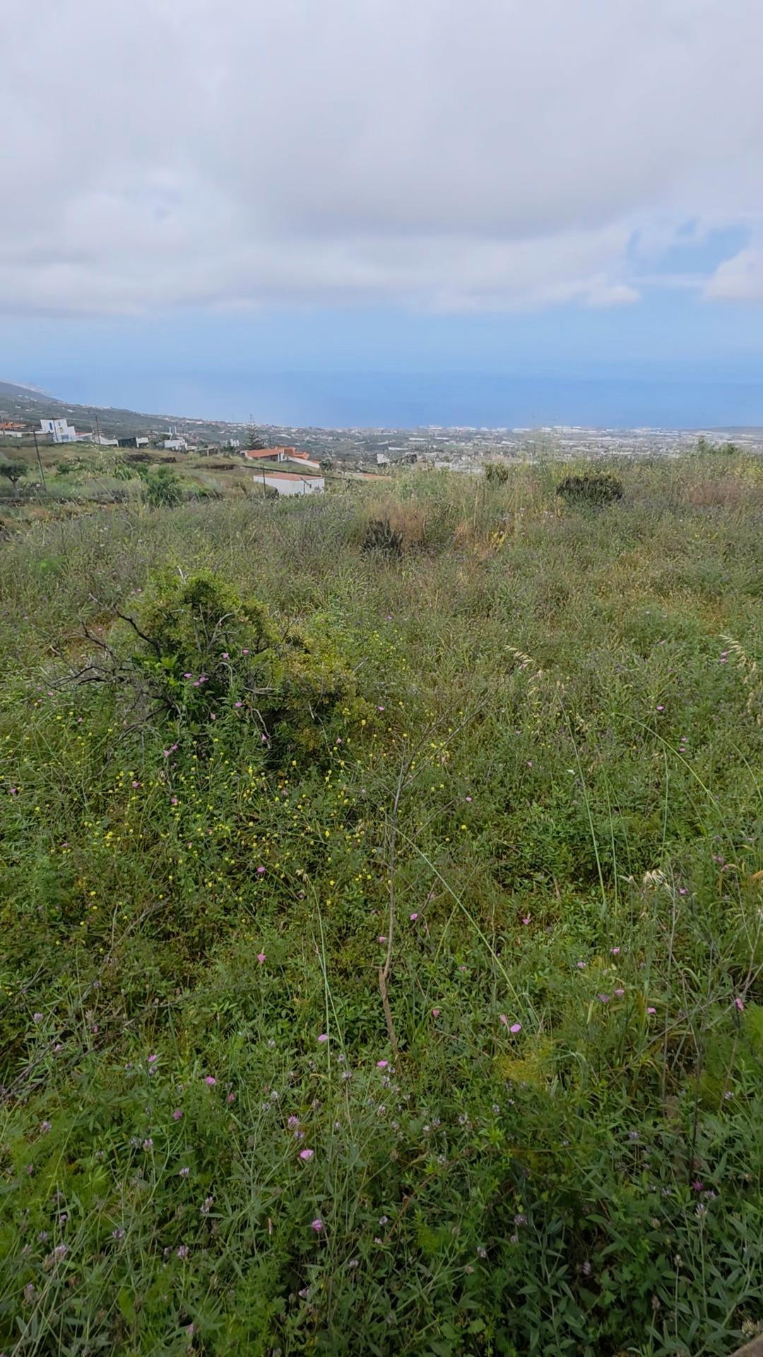 Terreno rústico de 808 m2 en Arafo, Tenerife | Excelente acceso y vistas despejadas