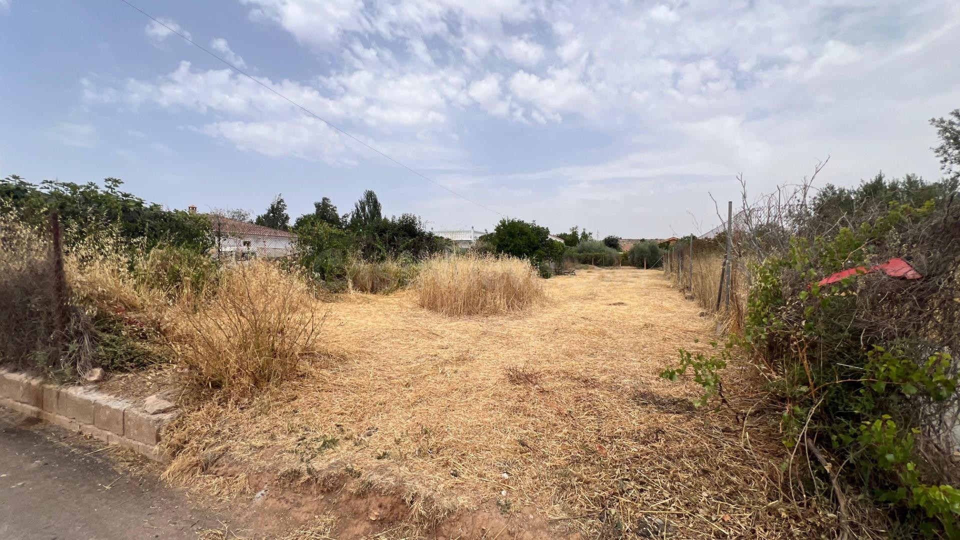 Terreno rústico en la zona de Las Viñas – Camino de los Molinos (Padul)