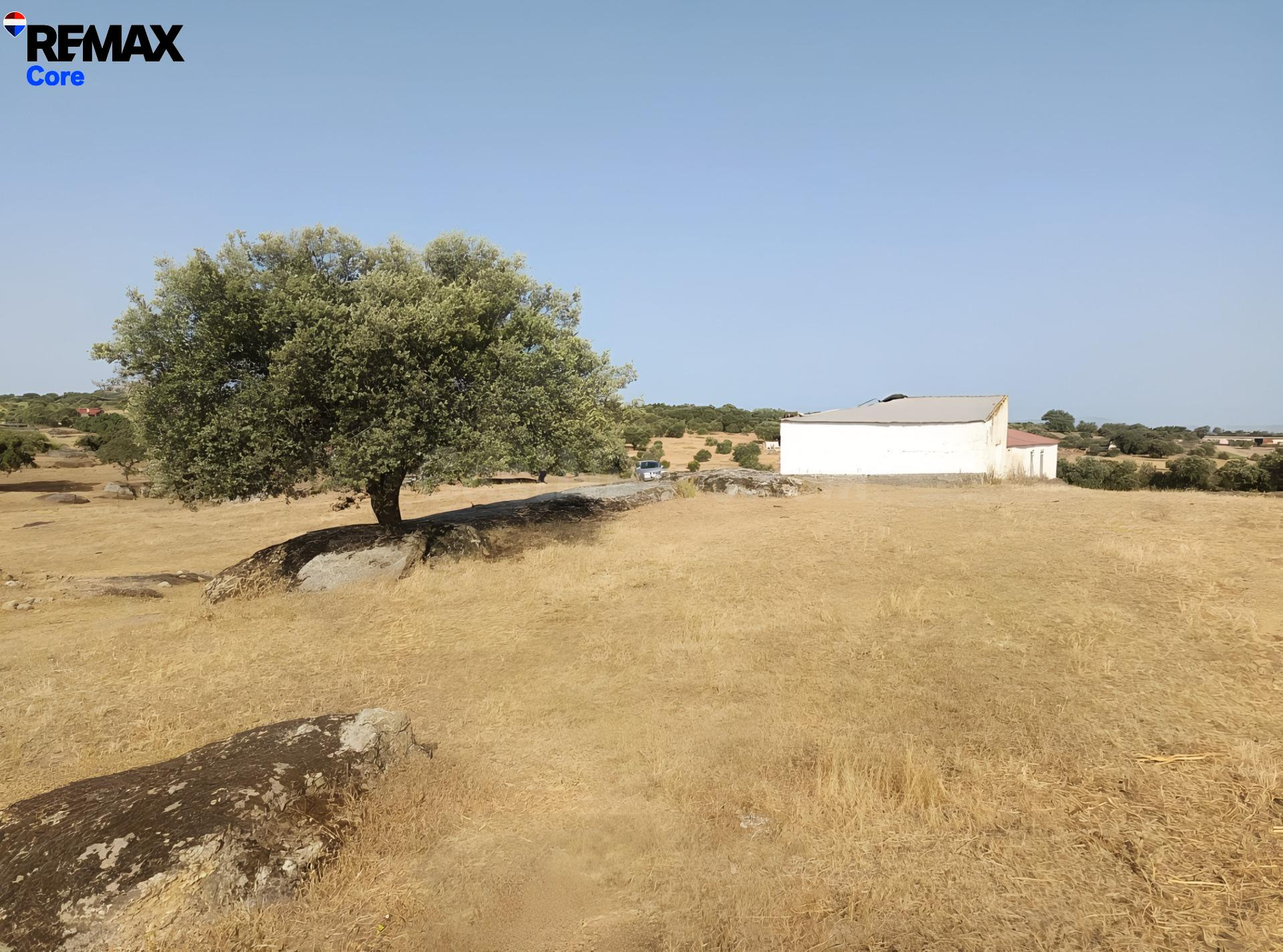 Finca Rústica de Recreo de 20 Hectáreas a 2 km de Alburquerque