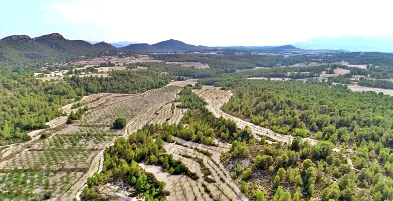 HACIENDA RUSTICA CON CASA CORTIJO - MORATALLA