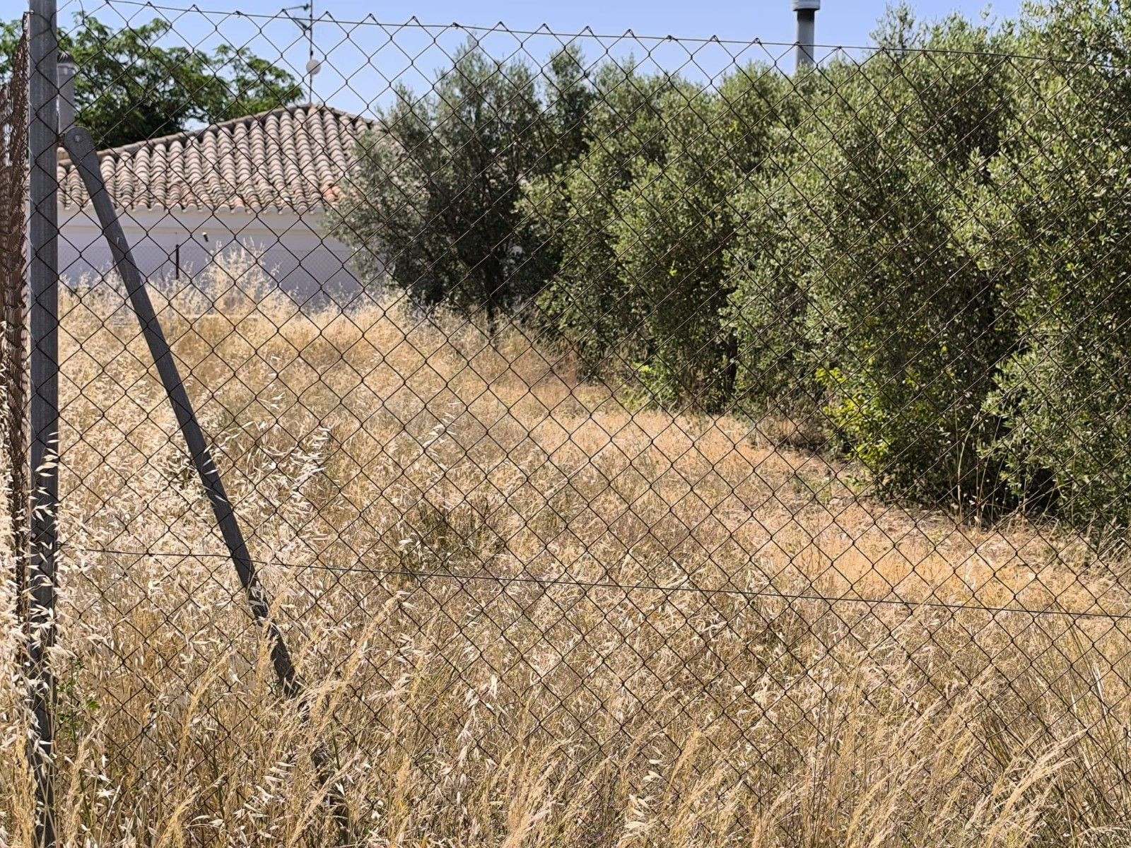Parcela en venta - Castilla la mancha