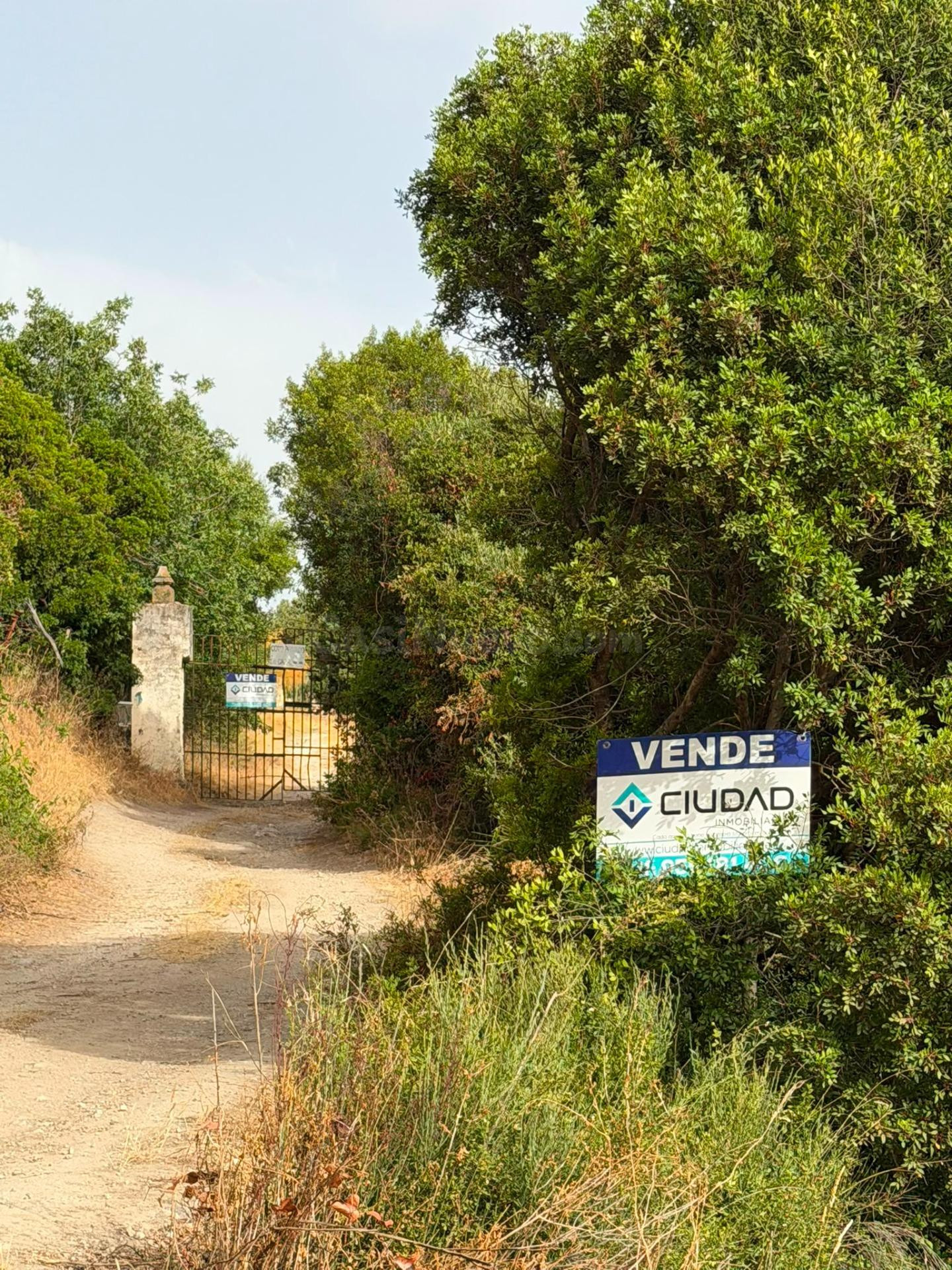 Finca Rústica en La Serena - Oportunidad Única