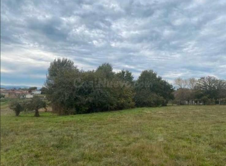 Finca urbanizable en Solveira a Merca - foto 3