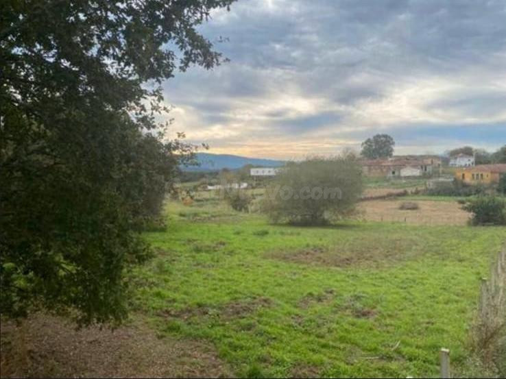 Finca urbanizable en Solveira a Merca - foto 4
