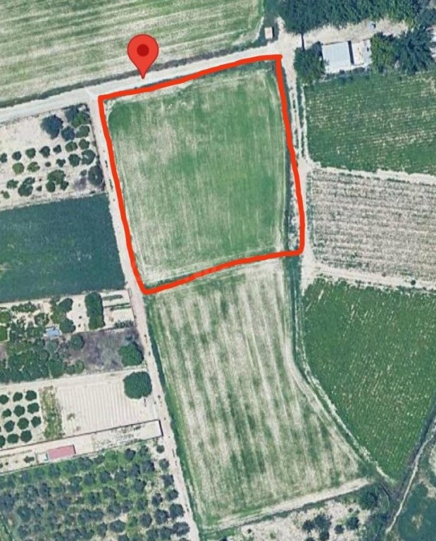 Excelente terreno de  2138 m2 Para lograr el cultivo de tu sueños . Ubicado en Partido de la Ribera polígono 17 Parcela 401
