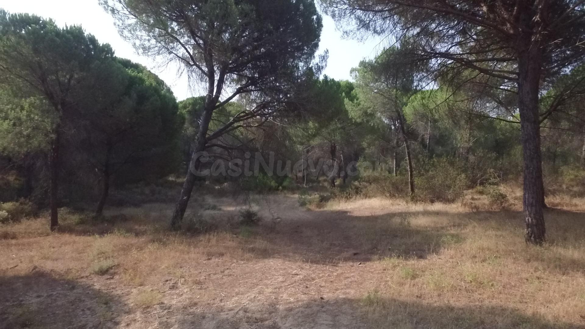 Terreno Rústico en Villablanca Valdearcos