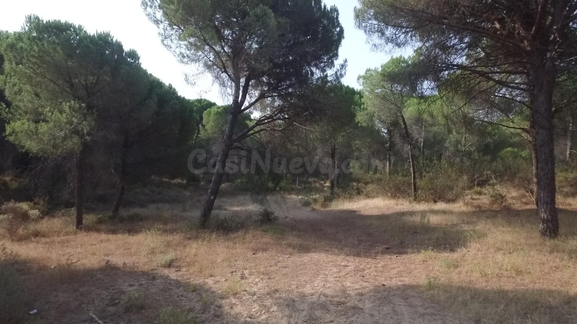 Terreno Rústico en Villablanca Valdearcos - foto 2