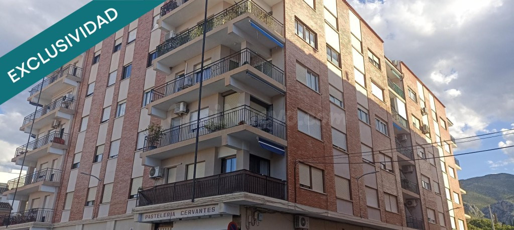 PISO EN PASEO CERVANTES PEGO