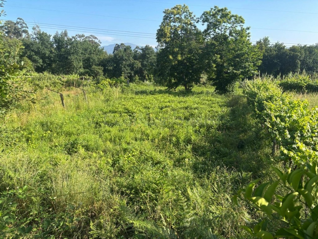 SE VENDE CASA AREFORMAR EN MEDER - SALVATERRA DE MIÑO - PONT - foto 4