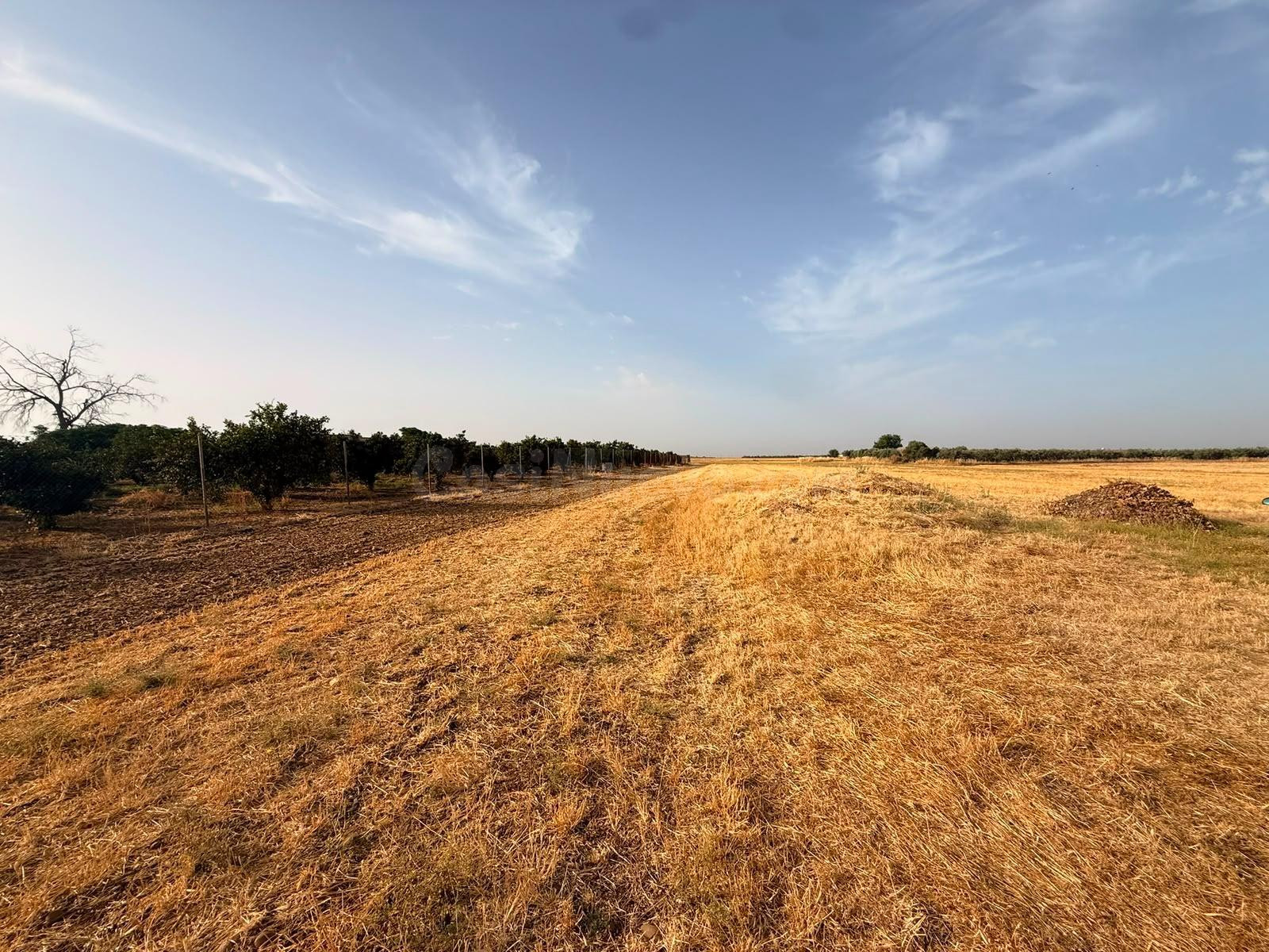 D.  FINCA RÚSTICA CON PISCINA Y POZO LEGAL EN LA FUENCUBIERTA (LA CARLOTA)