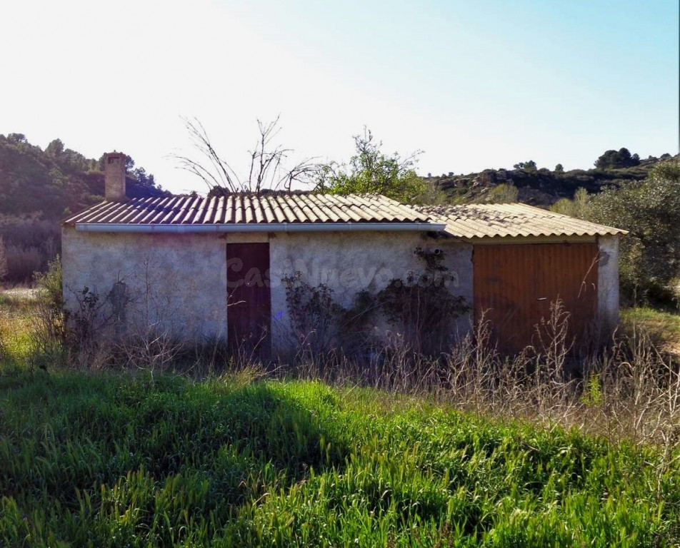 Suelo rústico en Venta en Maella Zaragoza