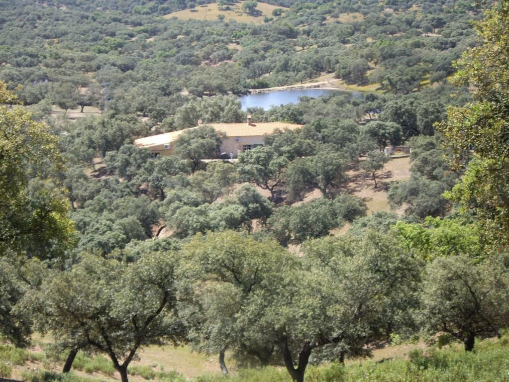 Casa-Chalet en Venta en Santa Olalla Del Cala Huelva
