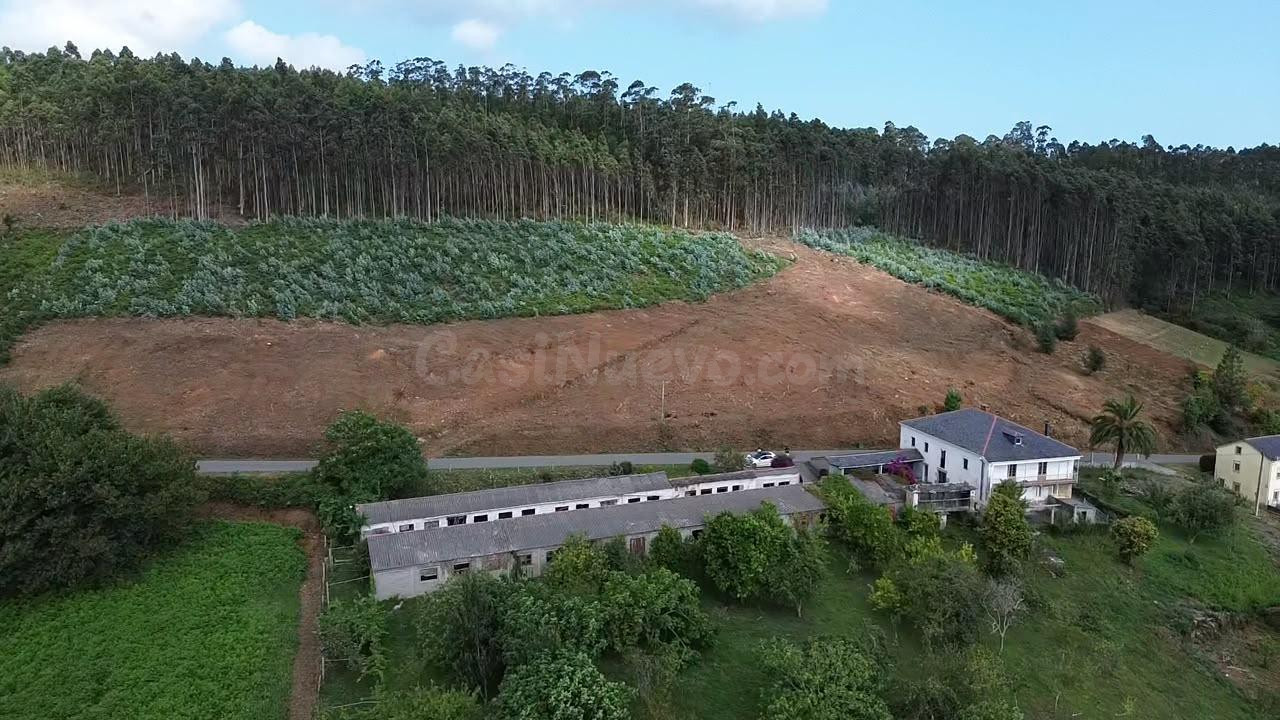 Exclusiva finca urbana de casi 10.000 m2 en O Vicedo – Una oportunidad única para promotores e inversores