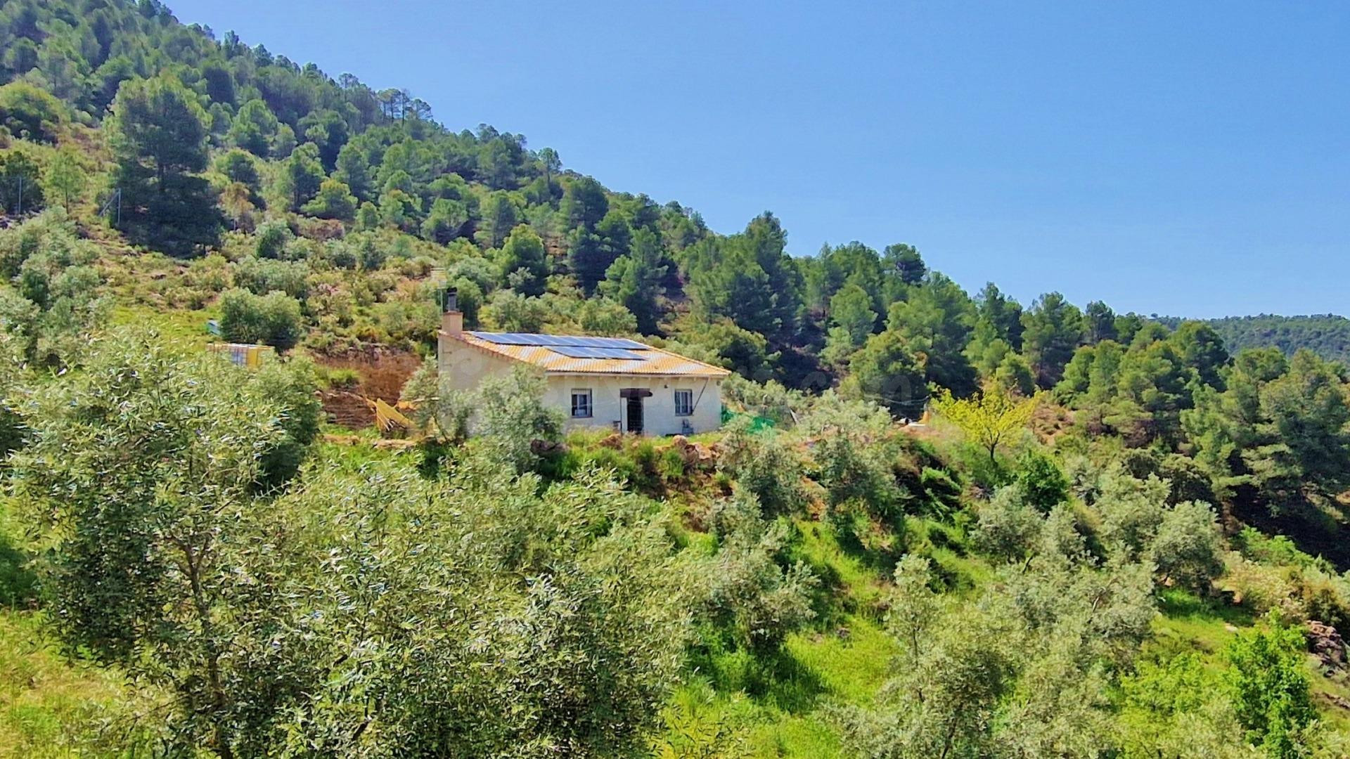 ¡Oportunidad en Jayena! Finca de Olivar con Casita y Luz Solar