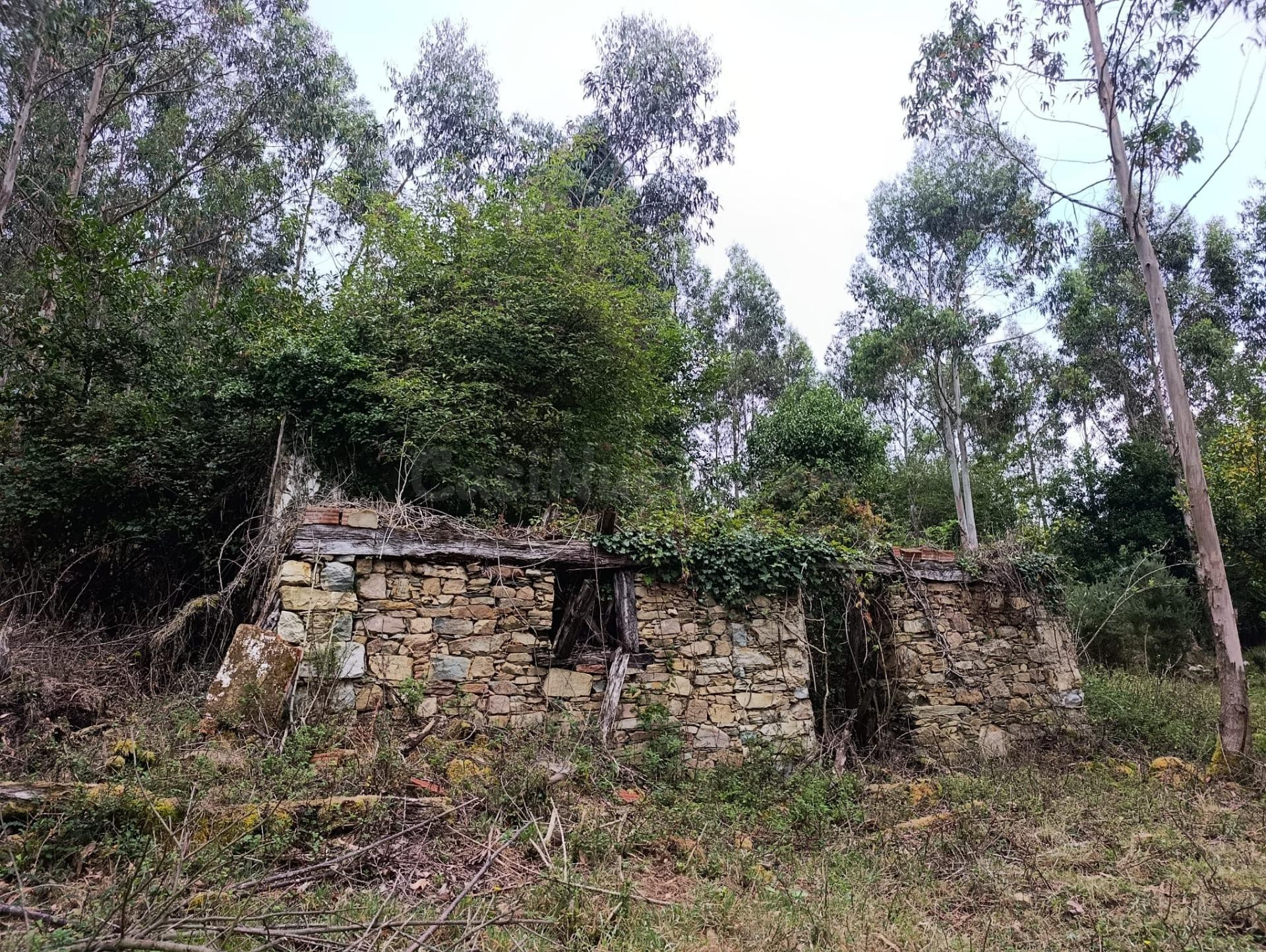 Finca rústica 40m² en venta - Northern spain - foto 2