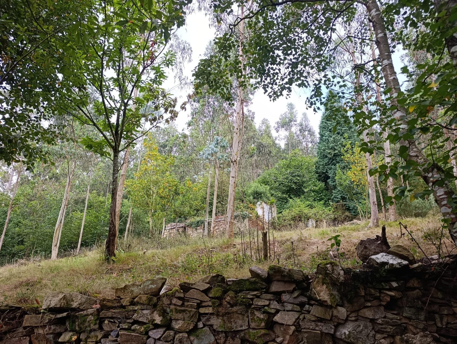 Finca rústica 40m² en venta - Northern spain - foto 3