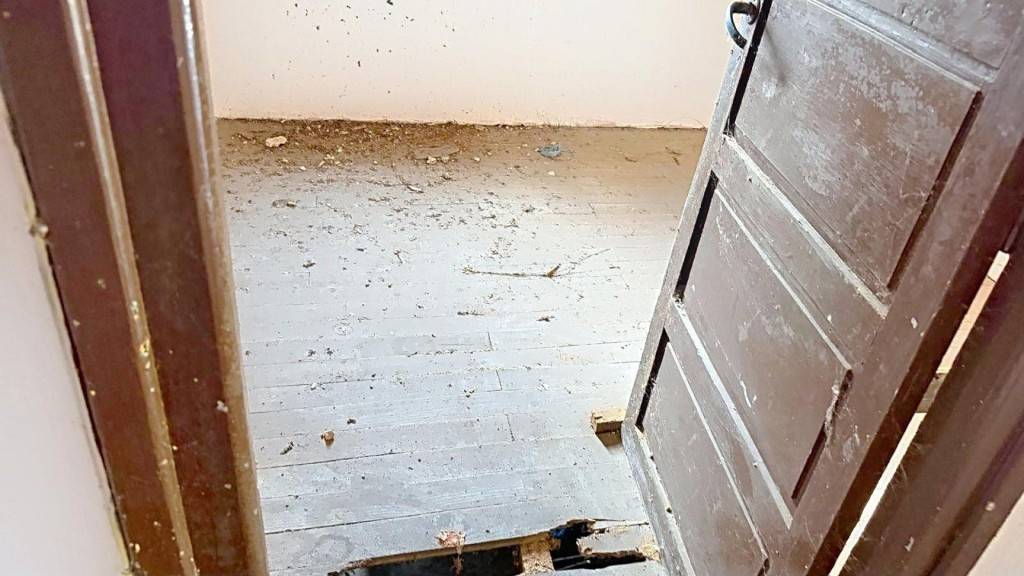 Si quieres vivir en plena naturaleza, esta es tu oportunidaad.Casa pareada para rehabilitar en Malpica , a tan solo 10 minutos del centro de oviedo - foto 4
