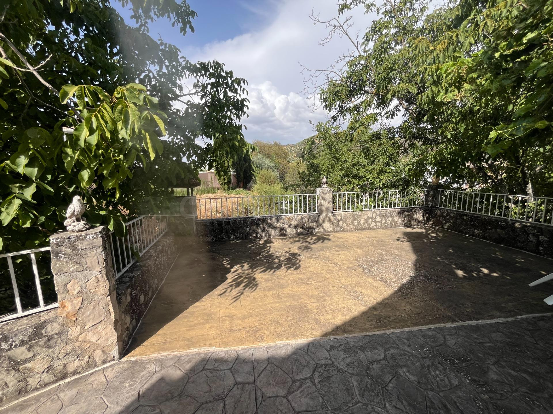 Beautiful country house with a big garden and patio in Fuente Grande