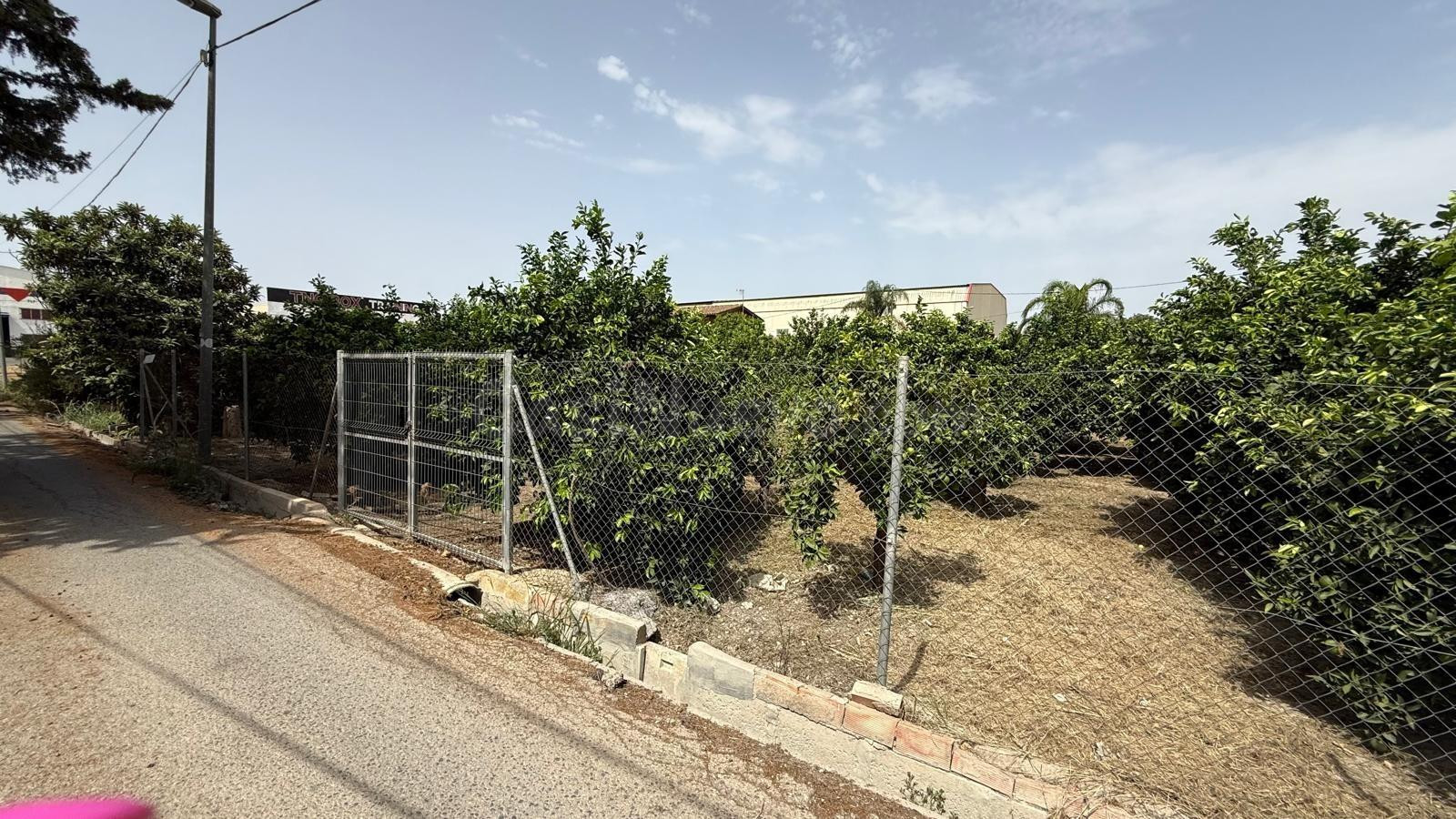 Oportunidad Única: Terreno Rústico en Beniajan, Murcia por solo €48,000
