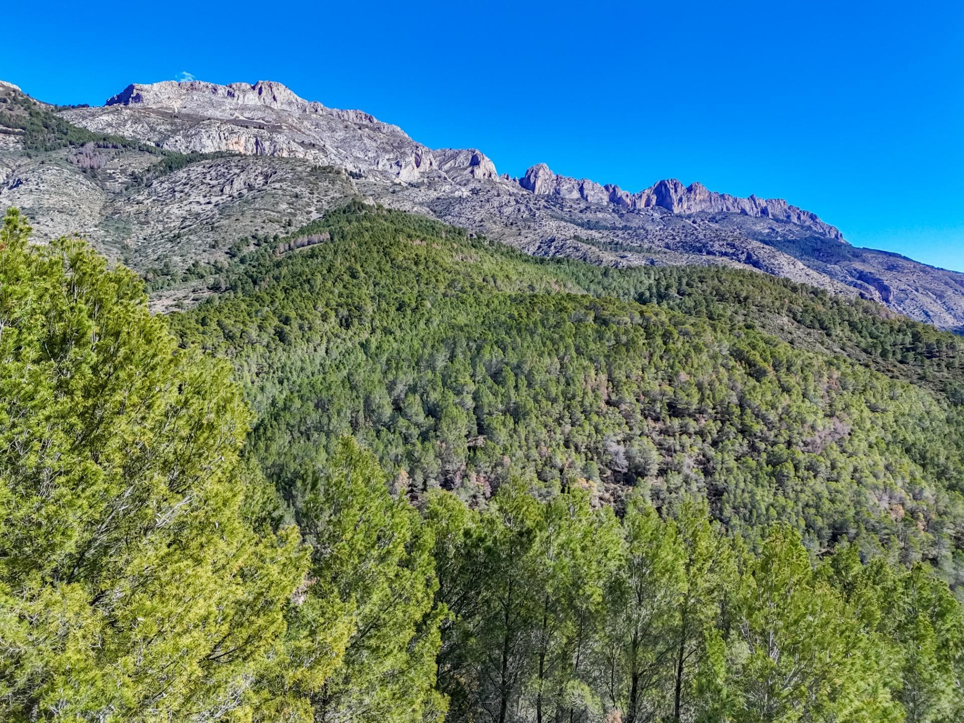 Parcela en venta - Santa clara - foto 3