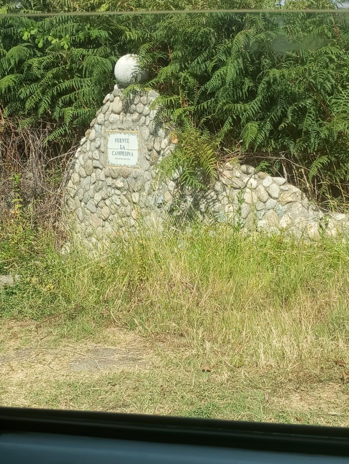 FINCA RUSTICA EN PROINDIVISO ARENAS DE SAN PEDRO  Y CANDELED - foto 3