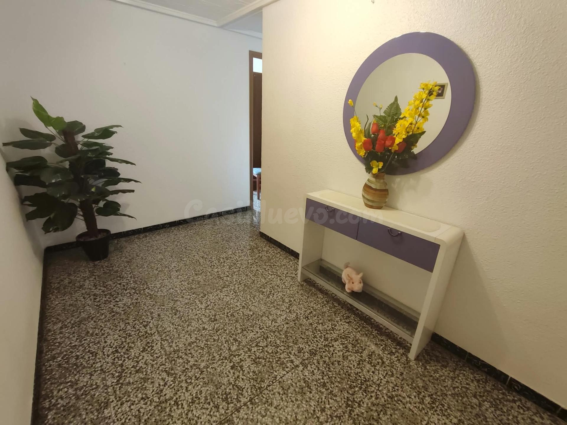 ¡Tu nuevo hogar en Elche te espera! ✨ Piso amplio, luminoso y con ascensor