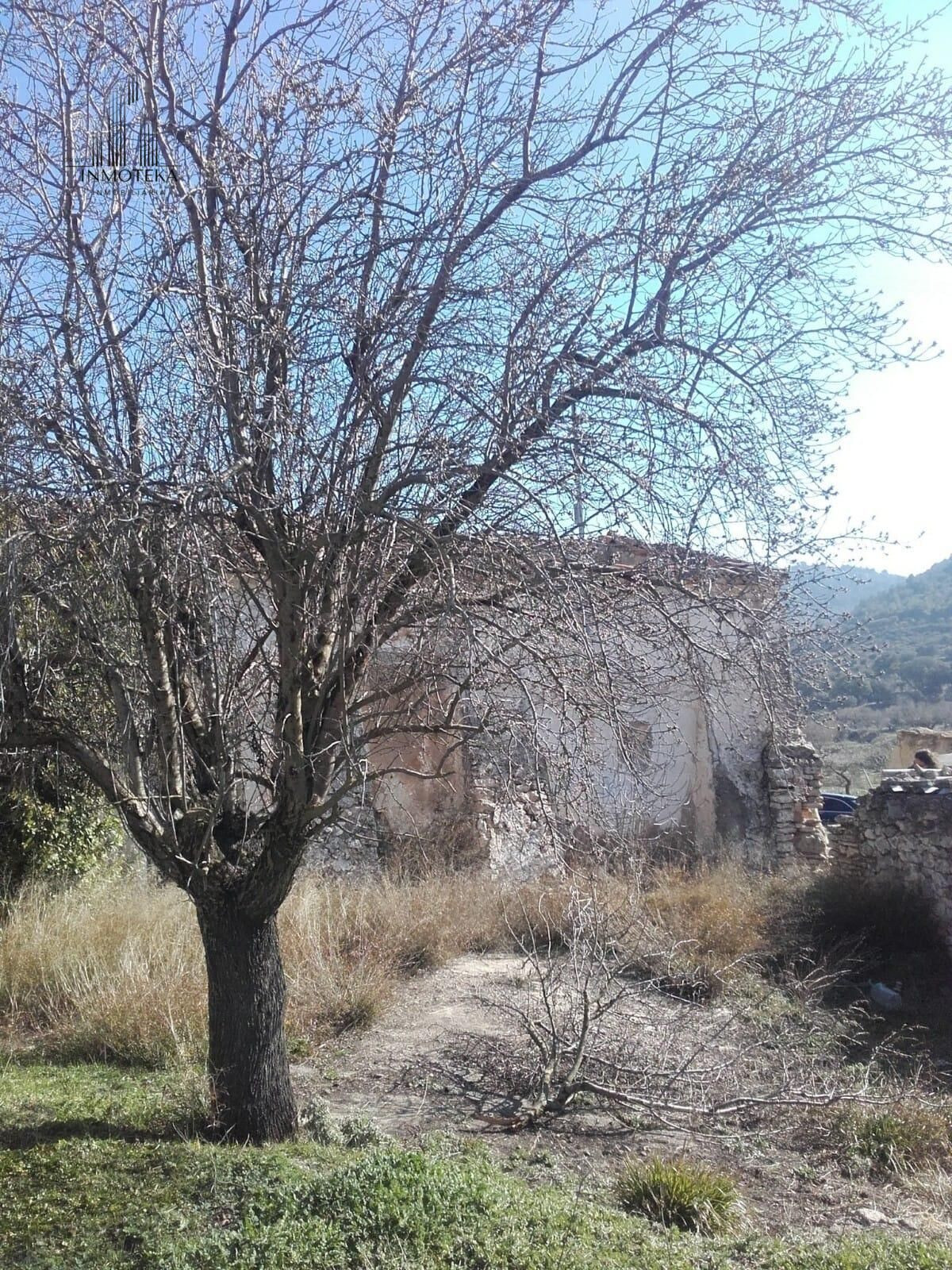 REF: C101 GRUPO INMOTEKA INMOBILIARIA VENDE CASA CON TERRENO EN ALATOZ (ALBACETE)