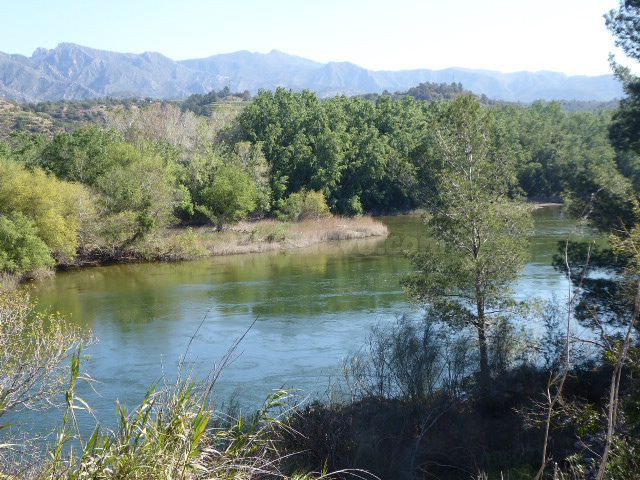 Finca rústica en venta - Xerta - foto 3