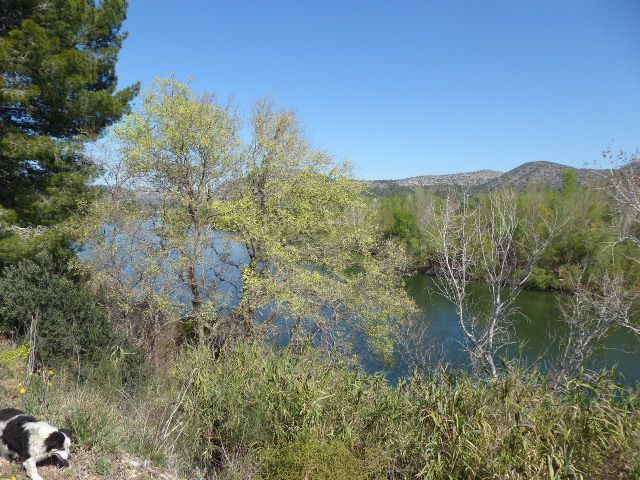 Finca rústica en venta - Xerta - foto 4