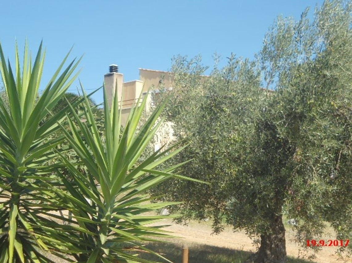 SE VENDE CASA OKUPADA en Partida Segures, Riudecanyes (Tarra - foto 2