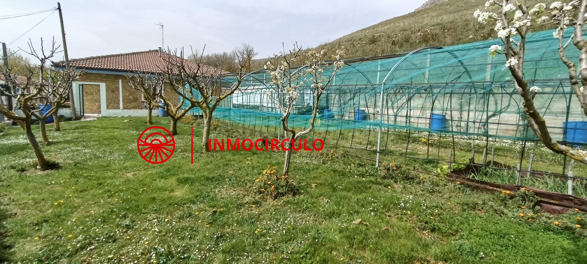 VIVE RODEADO DE SOL Y NATURALEZA A 15 MINUTOS DE BURGOS, IDEAL CASA RURAL