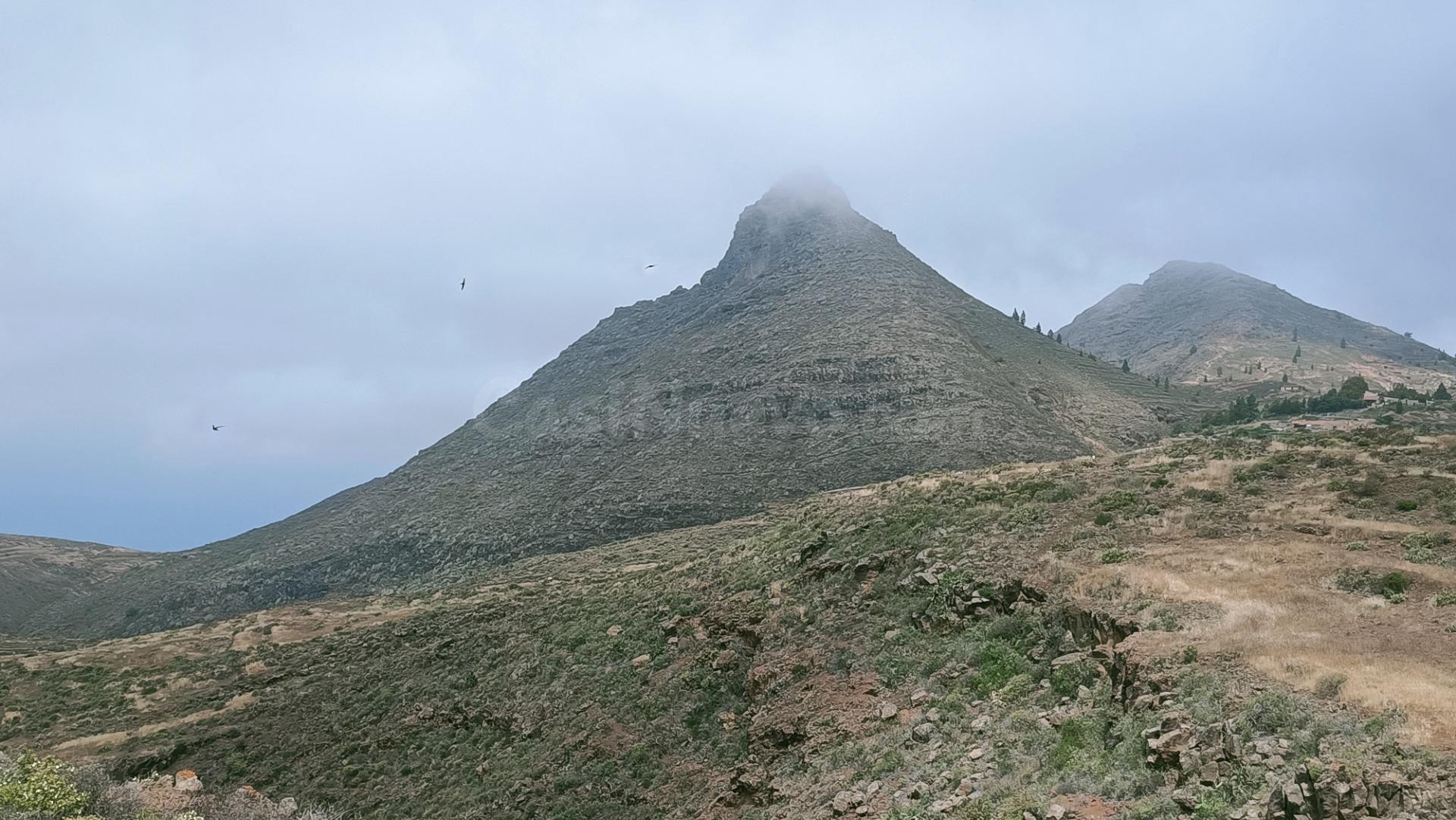 SE VENDE FINCA RÚSTICA EN SANTA CRUZ DE  TENERIFE ( VILAFLOR)