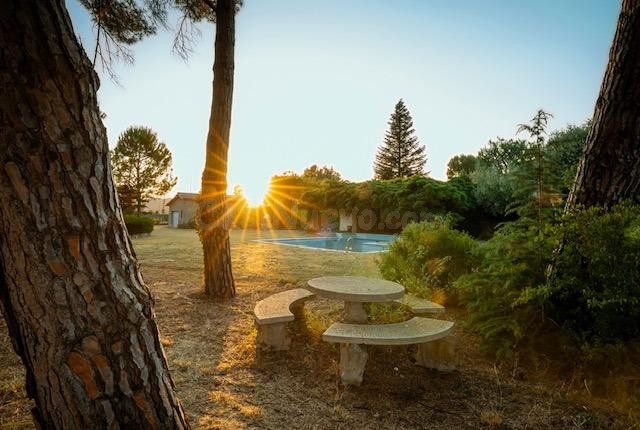 Gran parcela edificable en el Xaró para promoción de varias viviendas en parcela, para segregar o para una espectacular vivienda