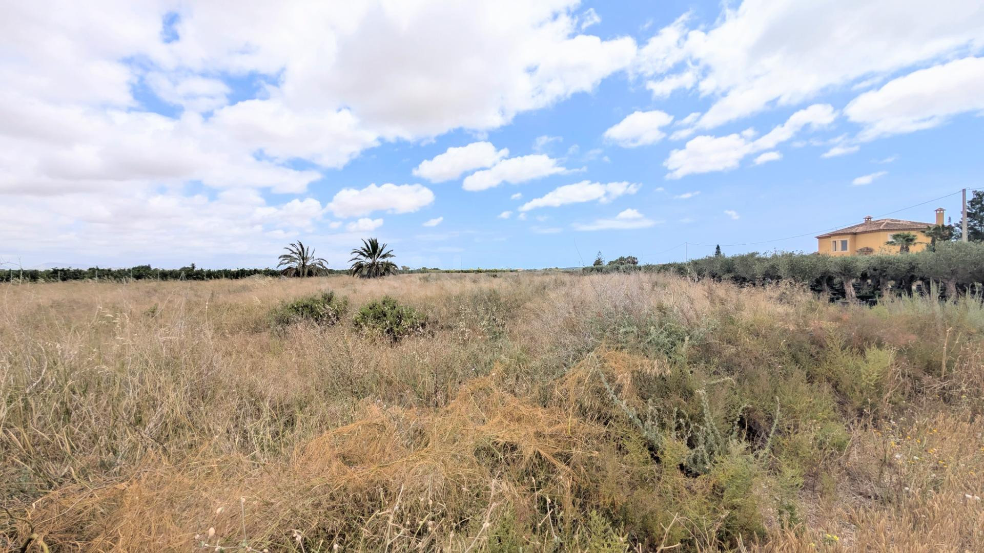 ¡PARCELA RÚSTICA EN VENTA EN BAYA BAJA, ELCHE, 5.718 m2, CON ACCESO ASFALTADO Y RIEGO POR GOTEO!