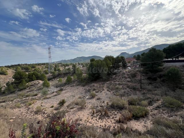 VENTA PARCELA-SOLAR EDIFICABLE 1530 M2. EN LA PALOMA (EL PALMAR) CON CASA PARA REFORMAR