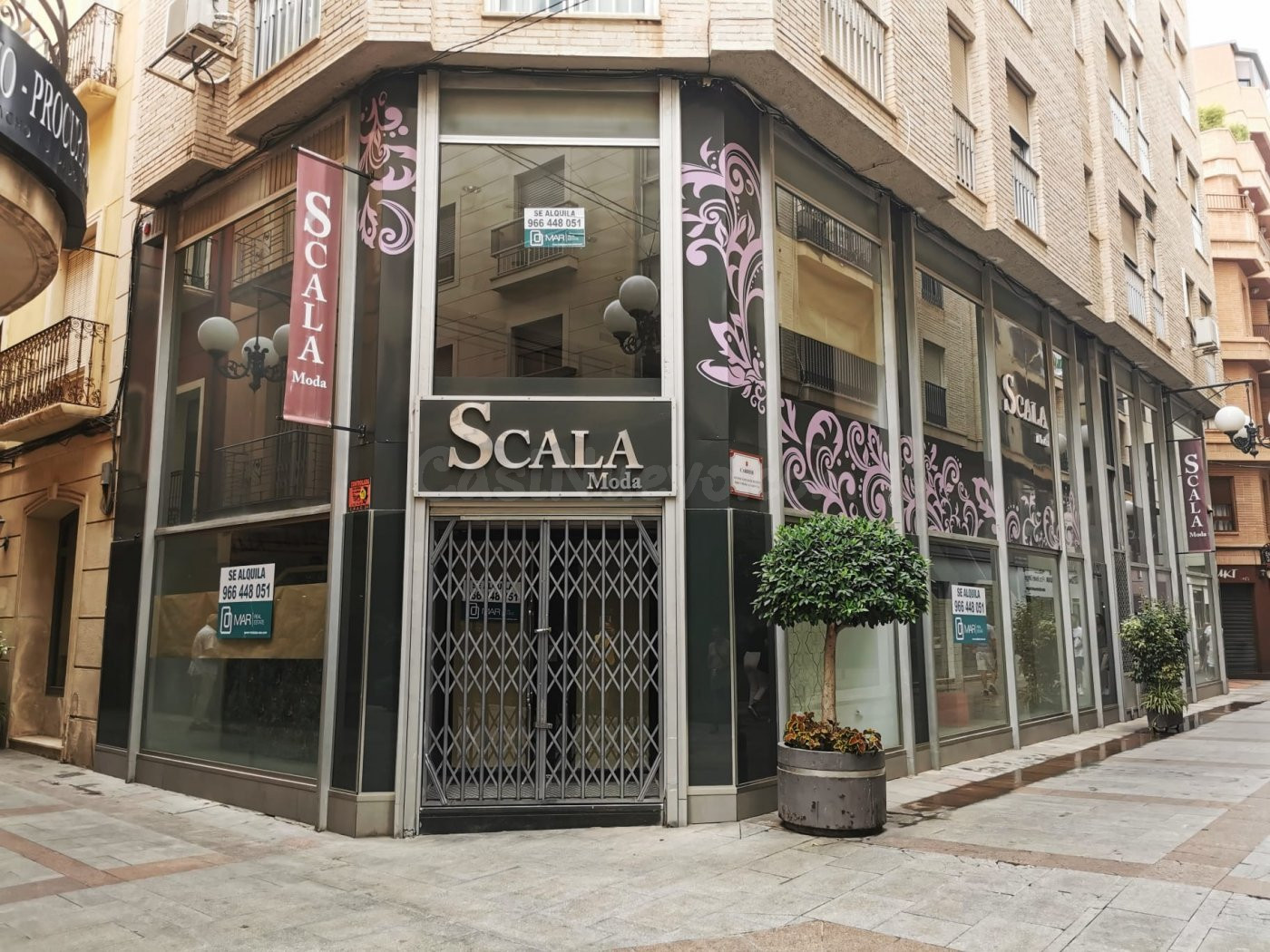 Alquiler de LOCAL COMERCIAL en la calle Salvador ELCHE