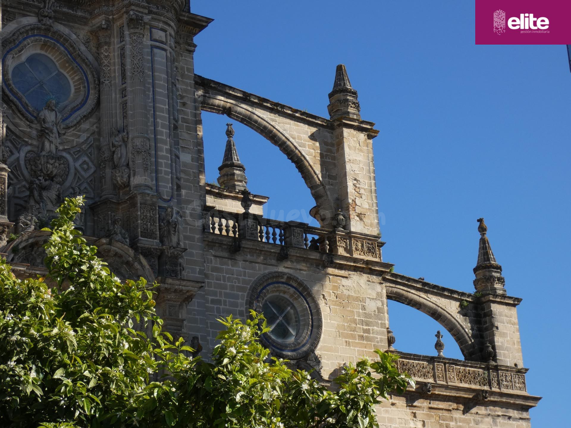 OPORTUNIDAD DE INVERSION CASA CON PROYECTO EN EL CENTRO DE JEREZ