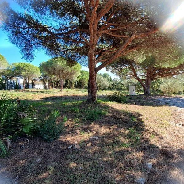 Exclusivas 4 parcelas urbanas en Sotogrande junto a Valderrama Golf | Inversión única