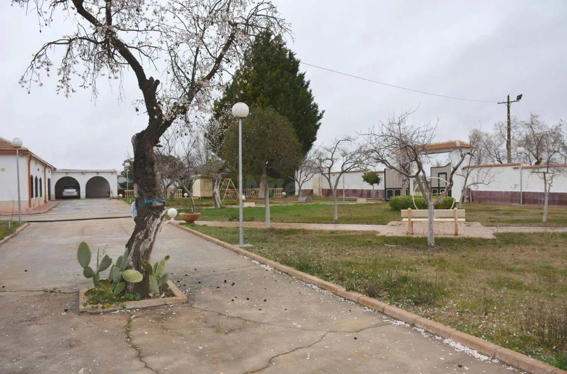 Venta: Amplia Finca: Terreno Rural en Pozuelo de Calatrava, - Ciudad Real -