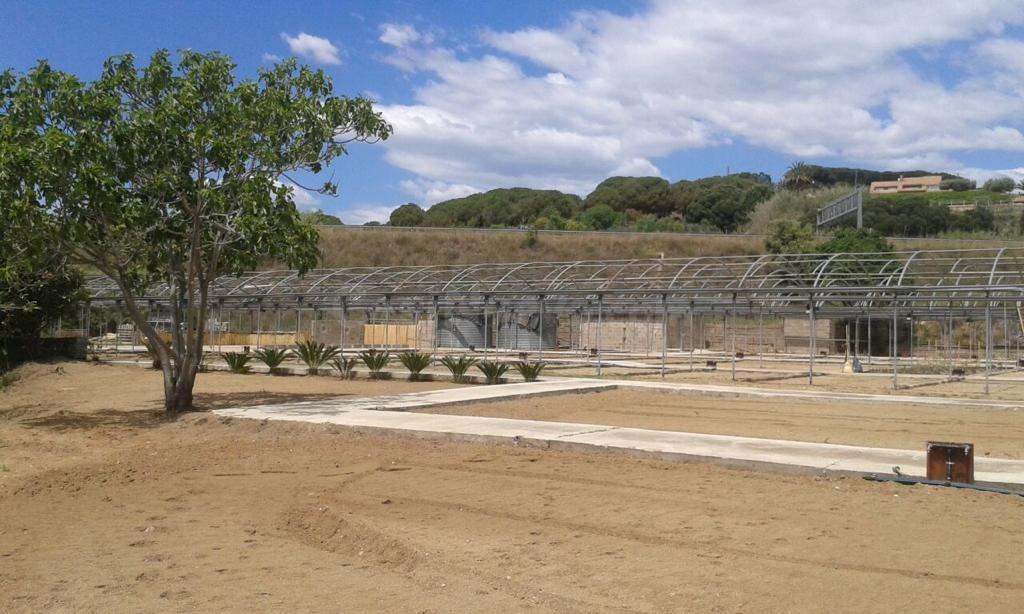 TERRENO RUSTICO CON USO PRINCIPAL AGRARIO  EN VENTA EN ARENYS DE MAR, BARCELONA