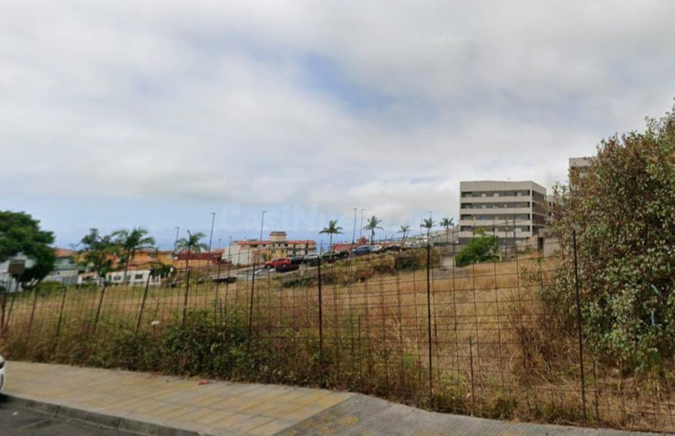 PROYECTO OPUNTIA – OPORTUNIDAD PARA PROMOTORES E INVERSORES EN LA OROTAVA