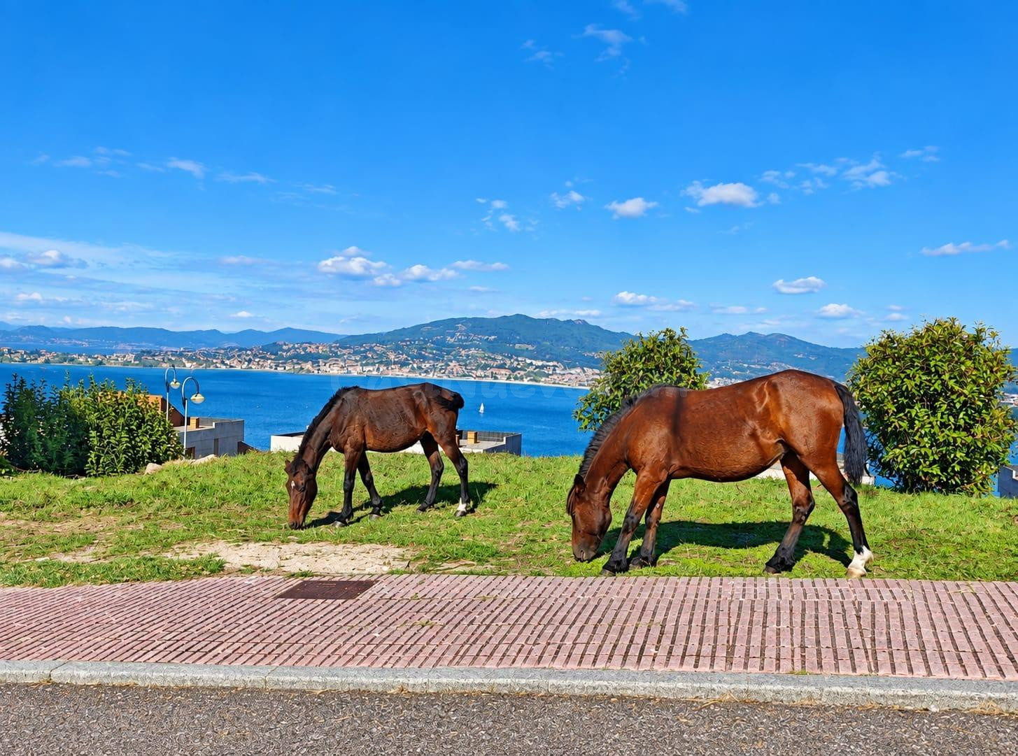 TERRAZA CON VISTAS MAR EN BAIONA